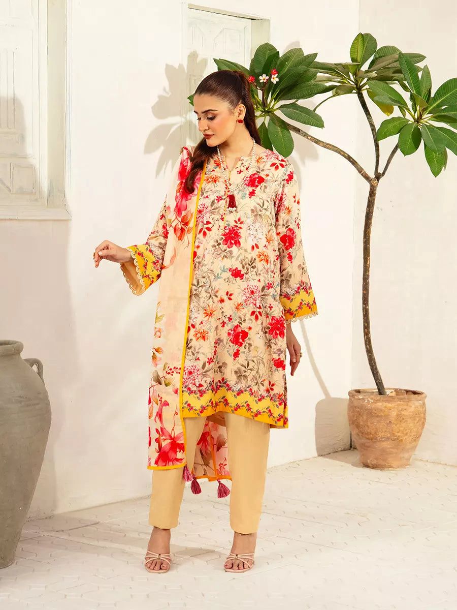3PC BANA DORA PRINTED SUITS